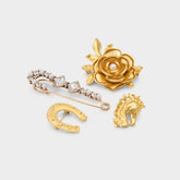 Aldo Wildatheart in Gold - Decorative brooch Women|Accessories