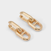 Aldo Alalaegyn in Gold - Hoop earrings Accessories