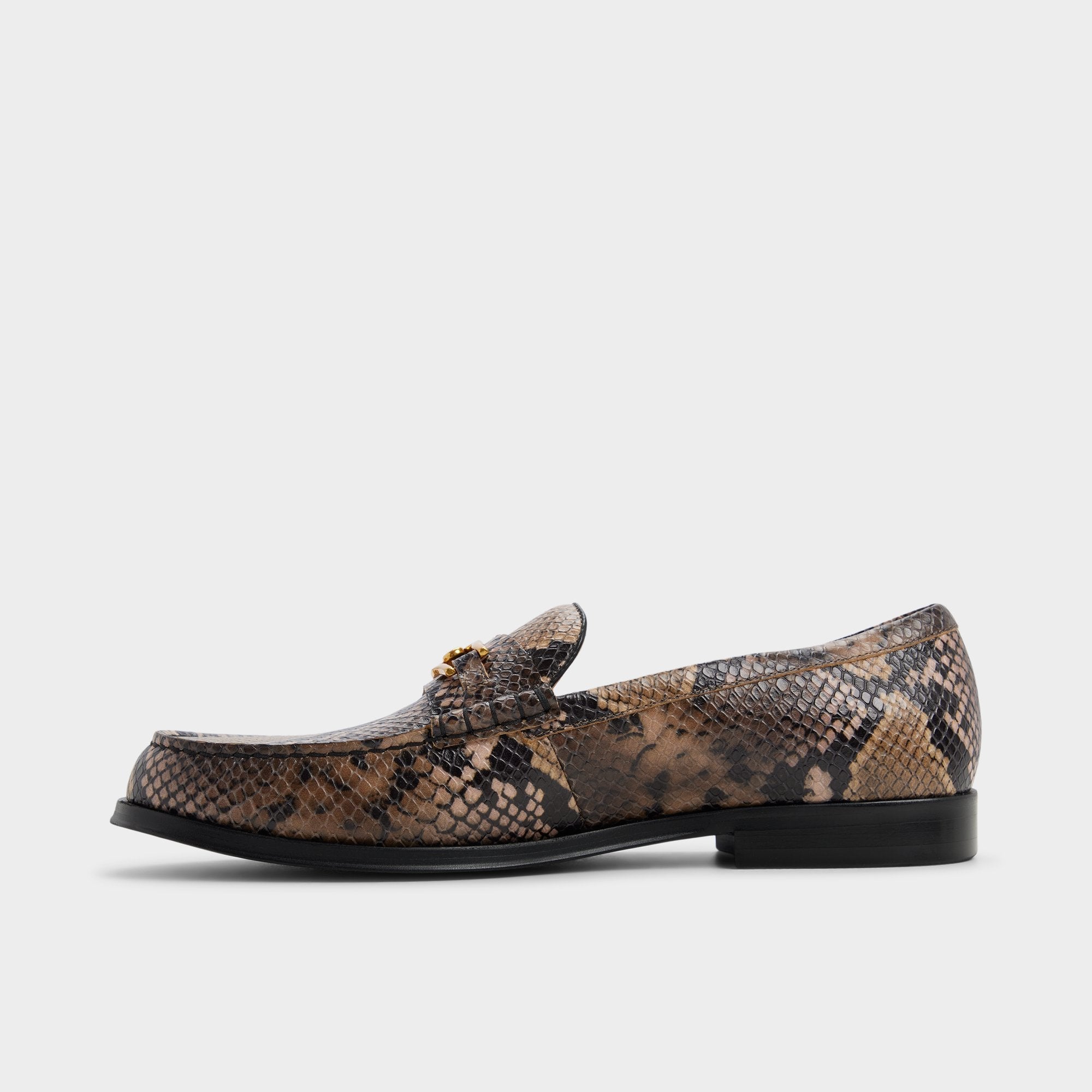 Aldo Edouard in Brown Multi - Loafer New|Men