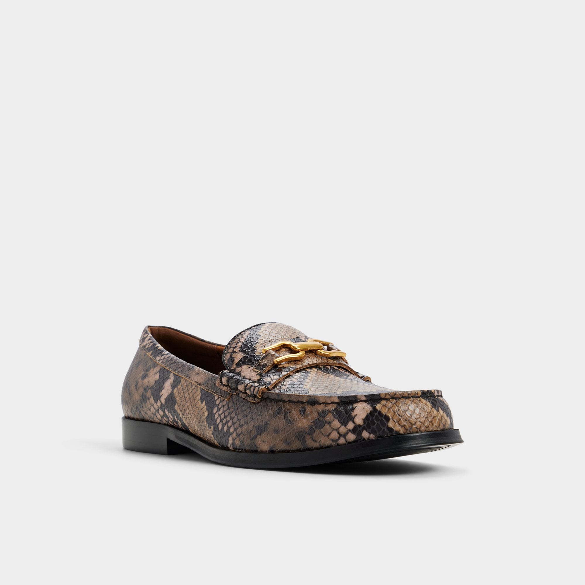 Aldo Edouard in Brown Multi - Loafer New|Men