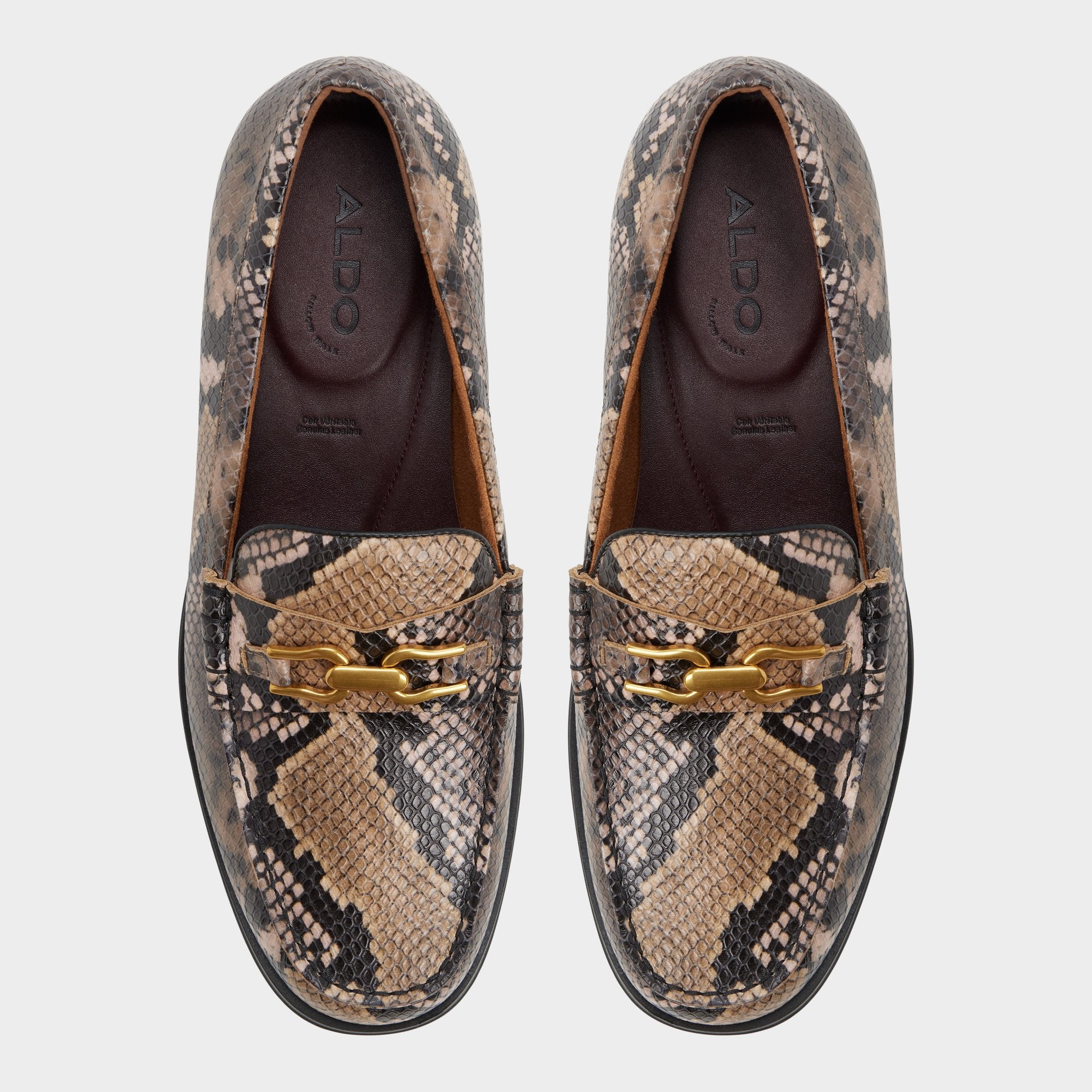 Aldo Edouard in Brown Multi - Loafer New|Men