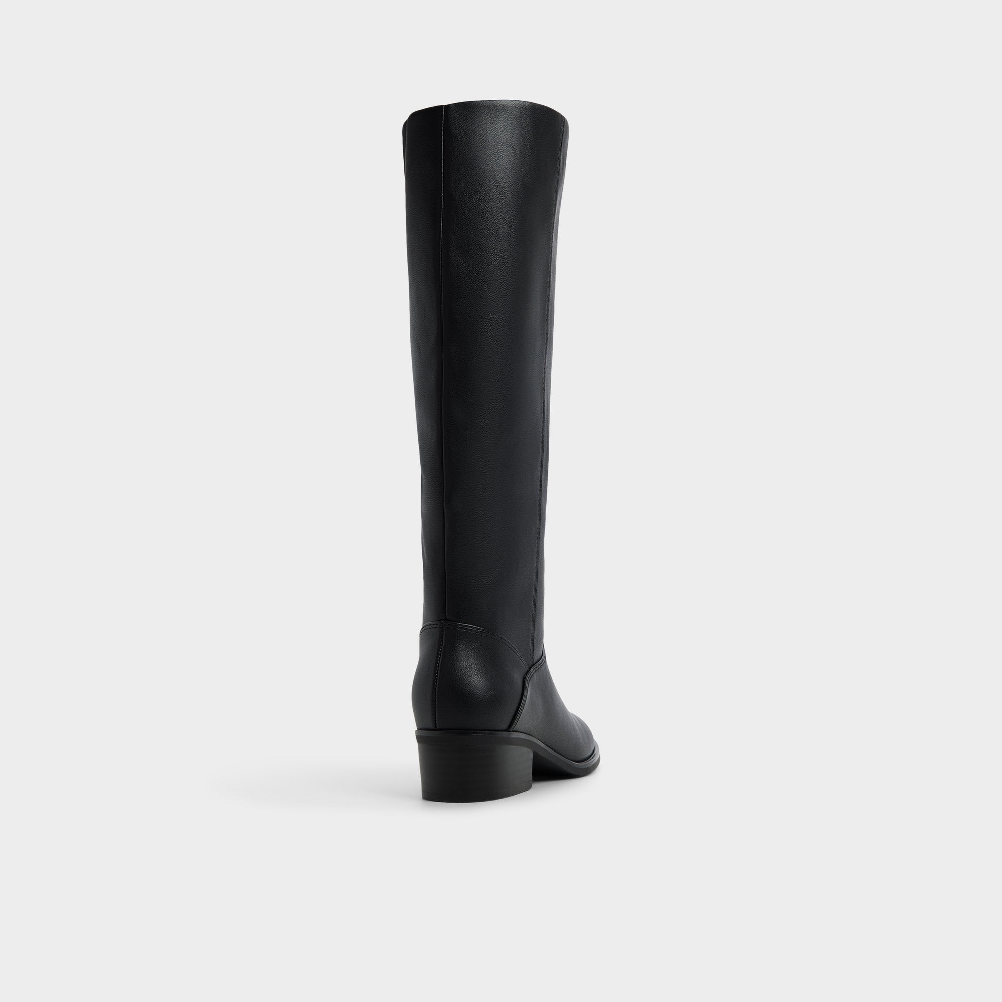 Aldo Kaydienh in Black - Knee-high boot, Block heel Women
