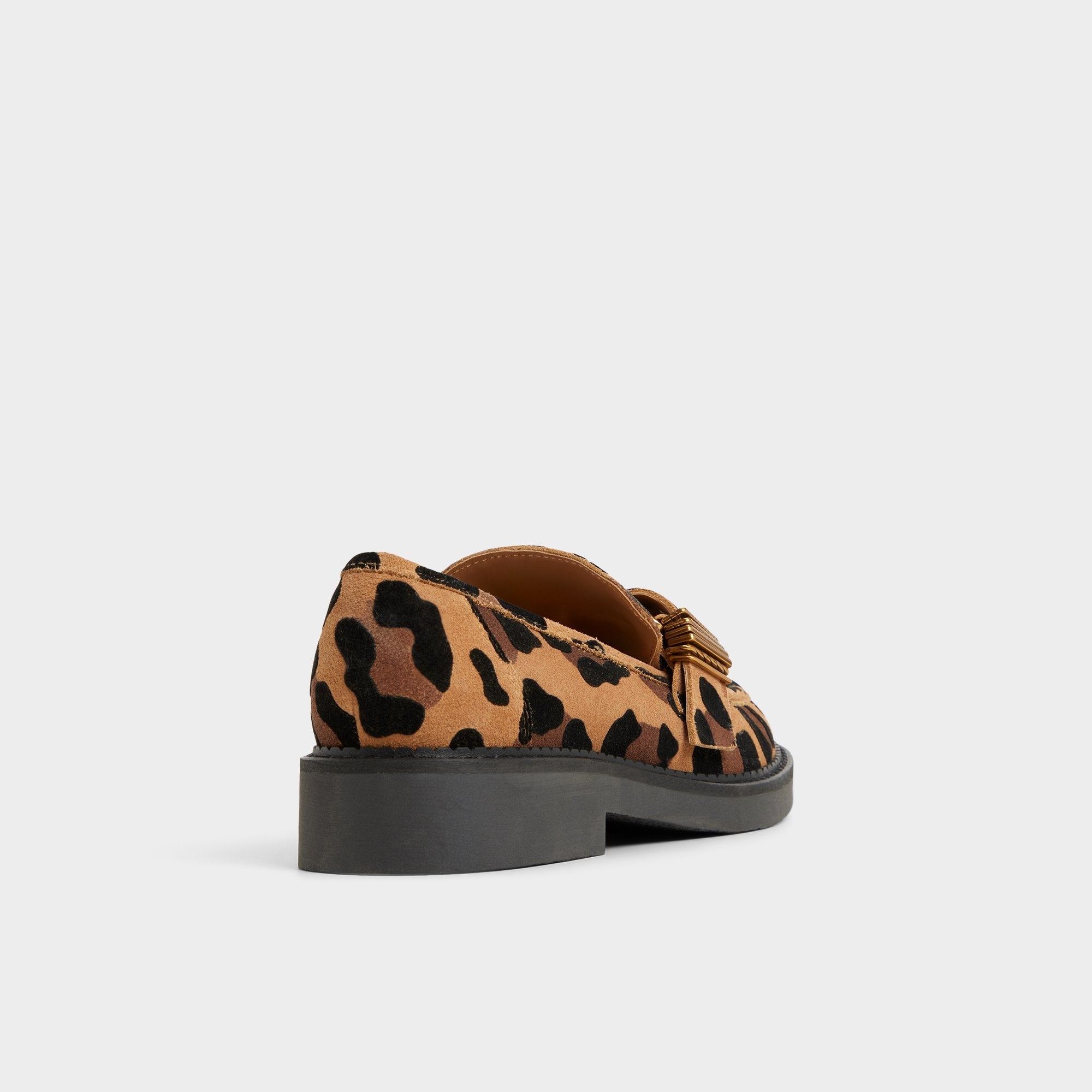 Aldo Kalya in Brown Multi - Loafer, Block heel Women