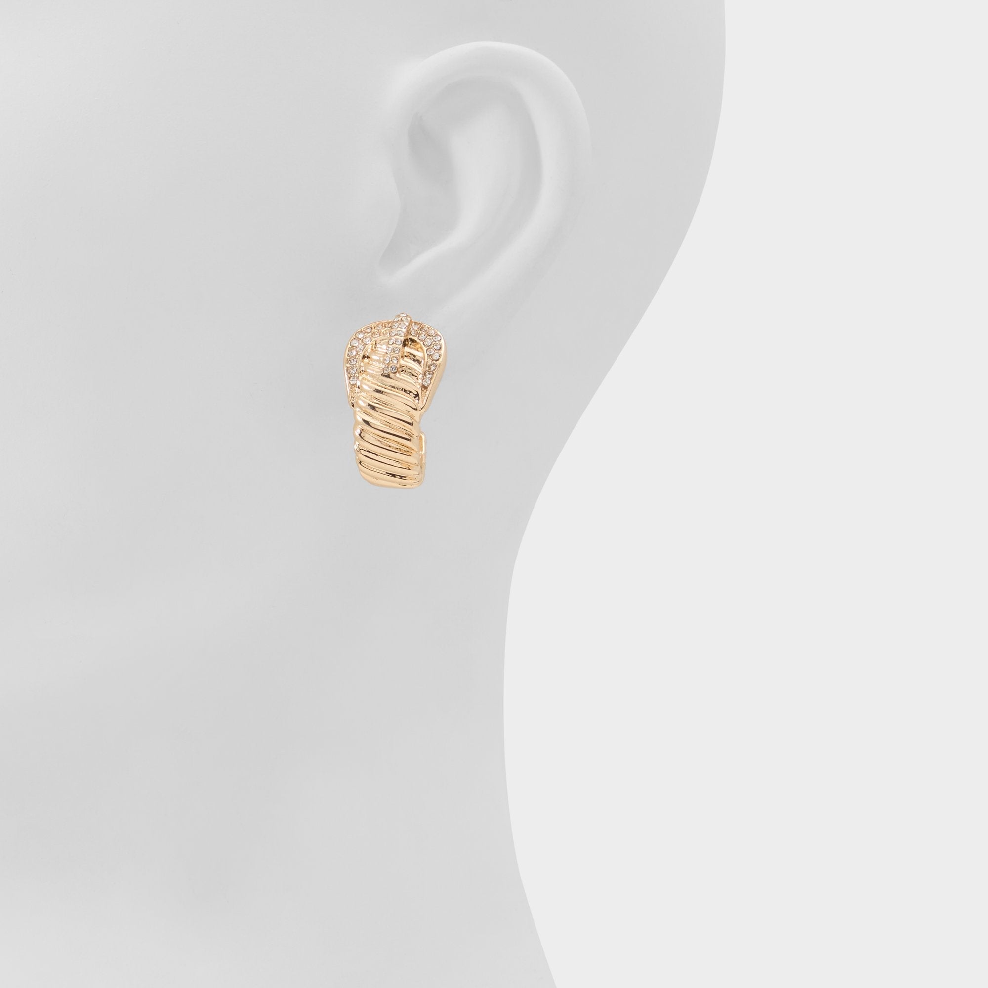 Aldo Cintura in Gold Clear Multi - Hoop earrings Women|Accessories