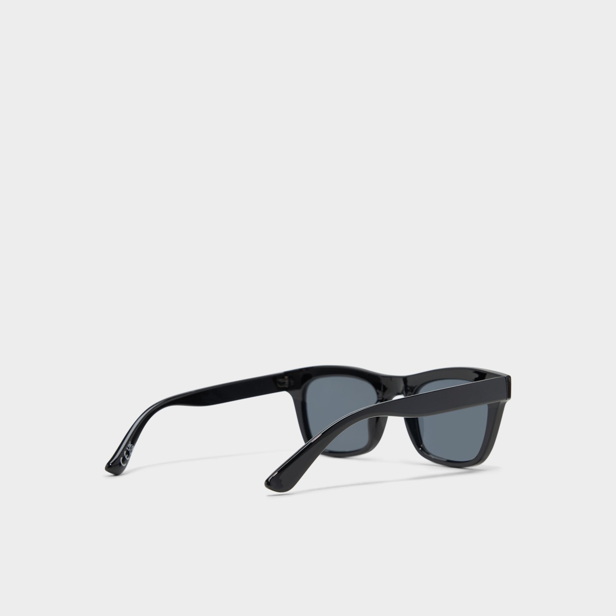 Aldo Aliralx Black Women's Sunglasses - Sunglasses Women|Accessories
