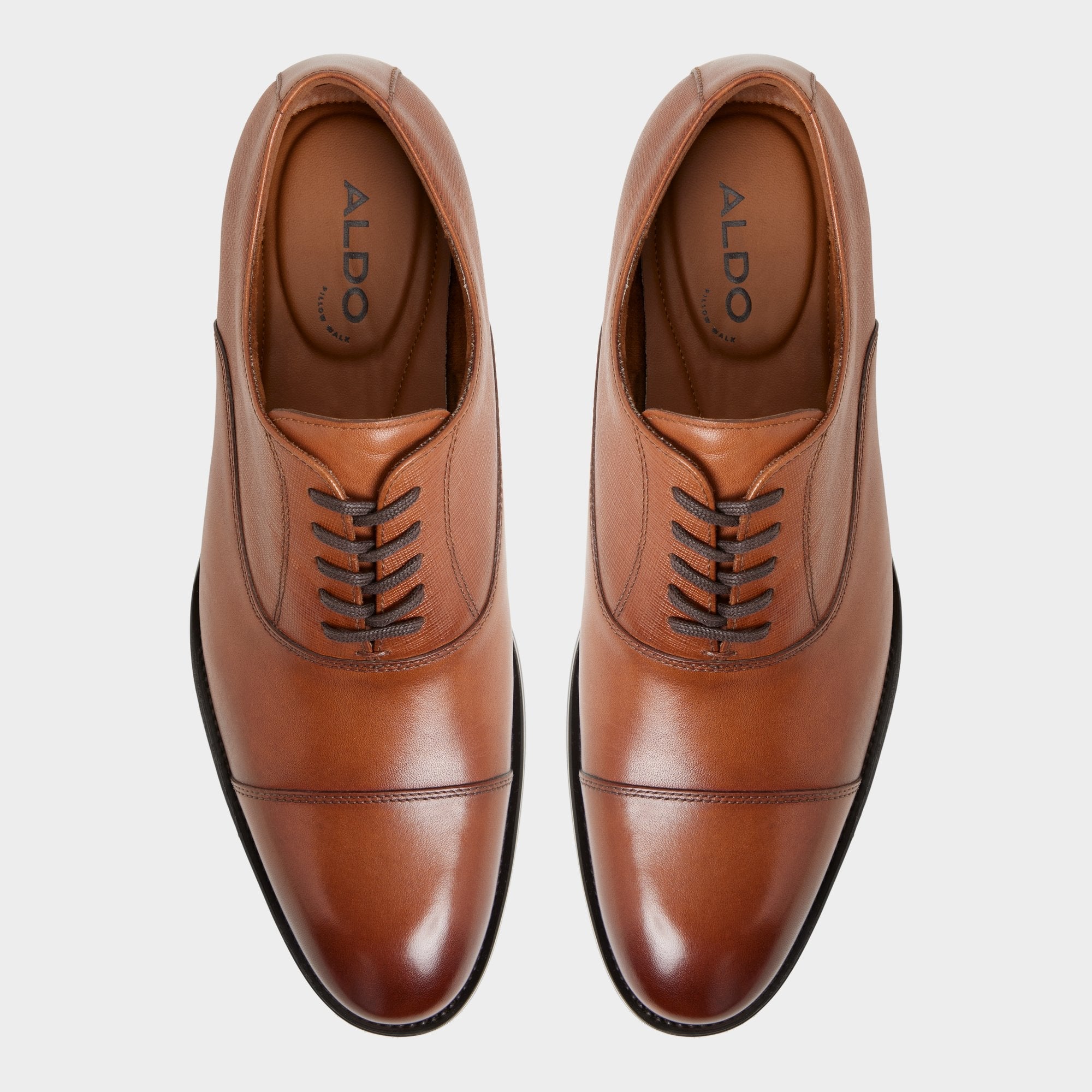 Aldo Reece in Cognac - Oxford shoe Men