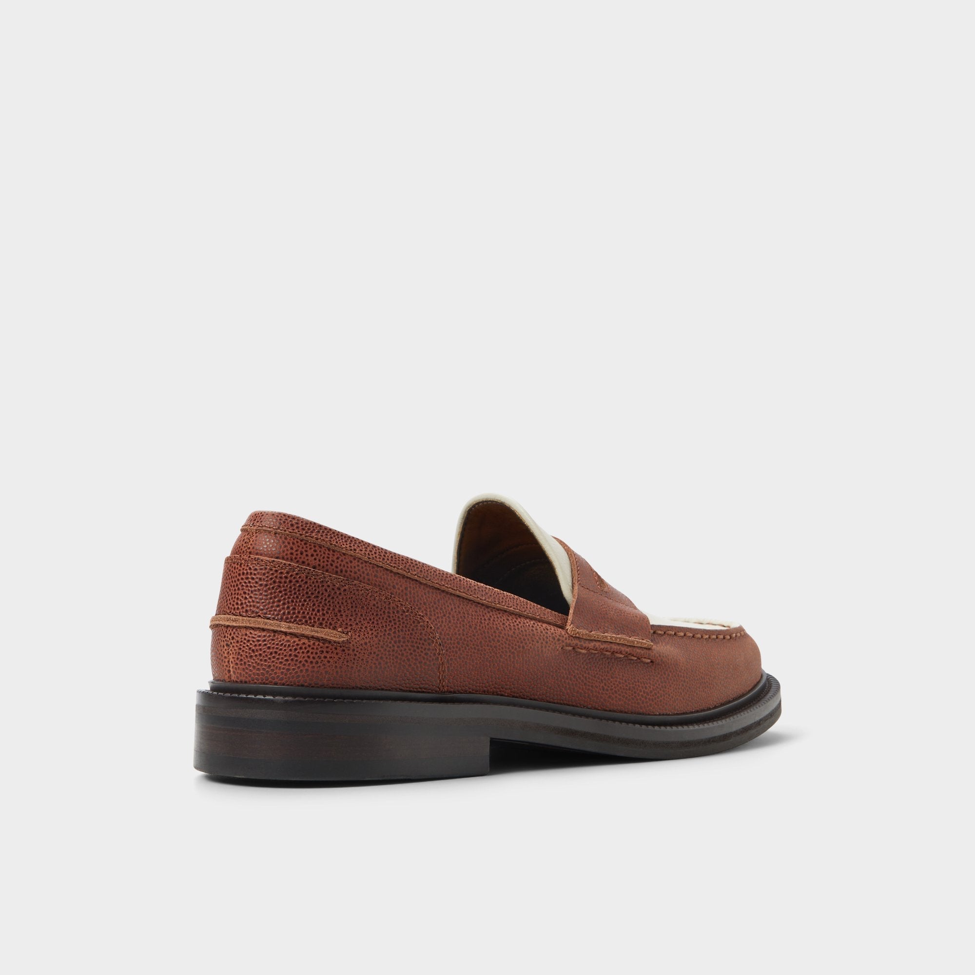 Aldo Buckley in Brown Overflow - Loafer Men