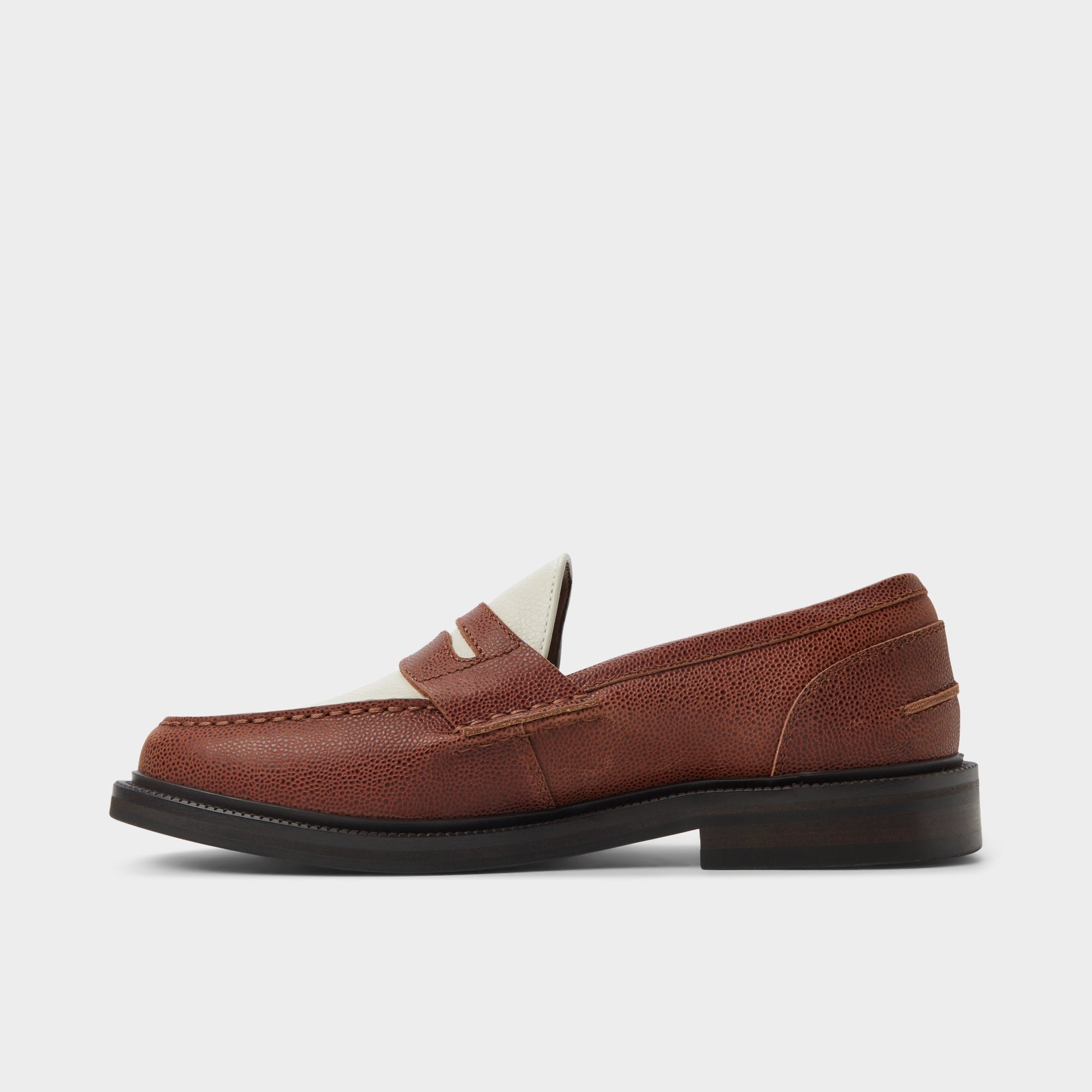 Aldo Buckley in Brown Overflow - Loafer Men