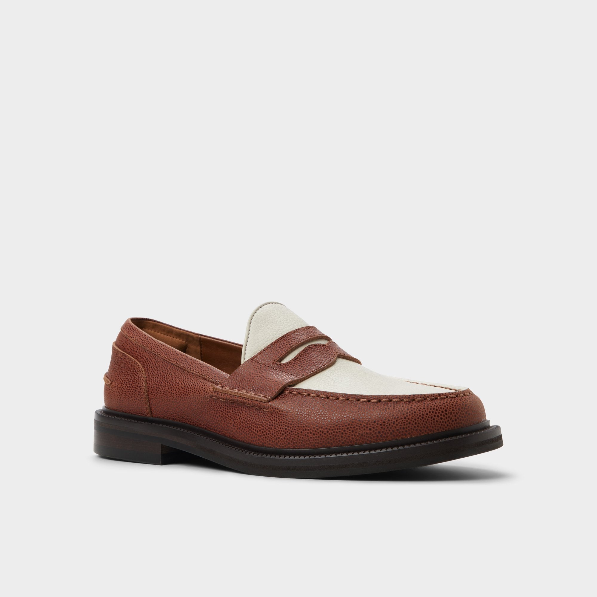 Aldo Buckley in Brown Overflow - Loafer Men