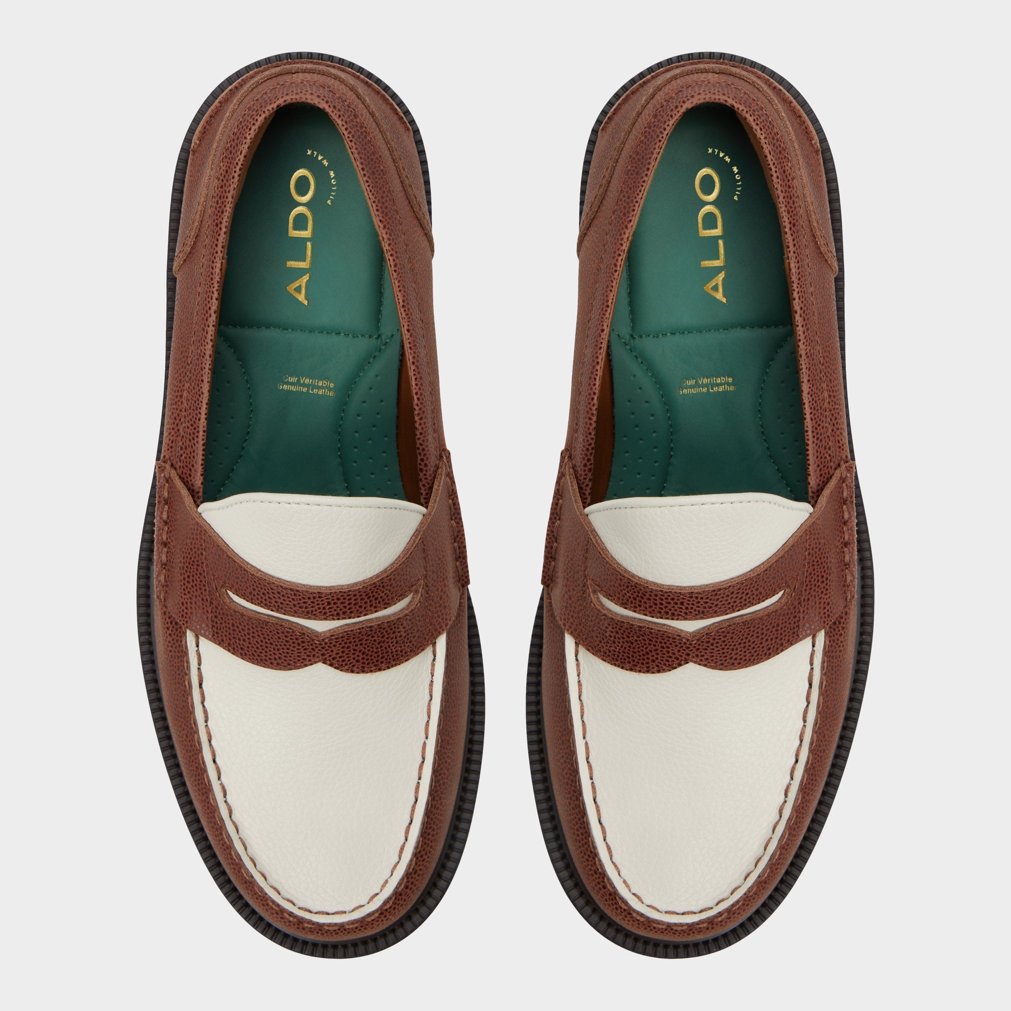 Aldo Buckley in Brown Overflow - Loafer Men