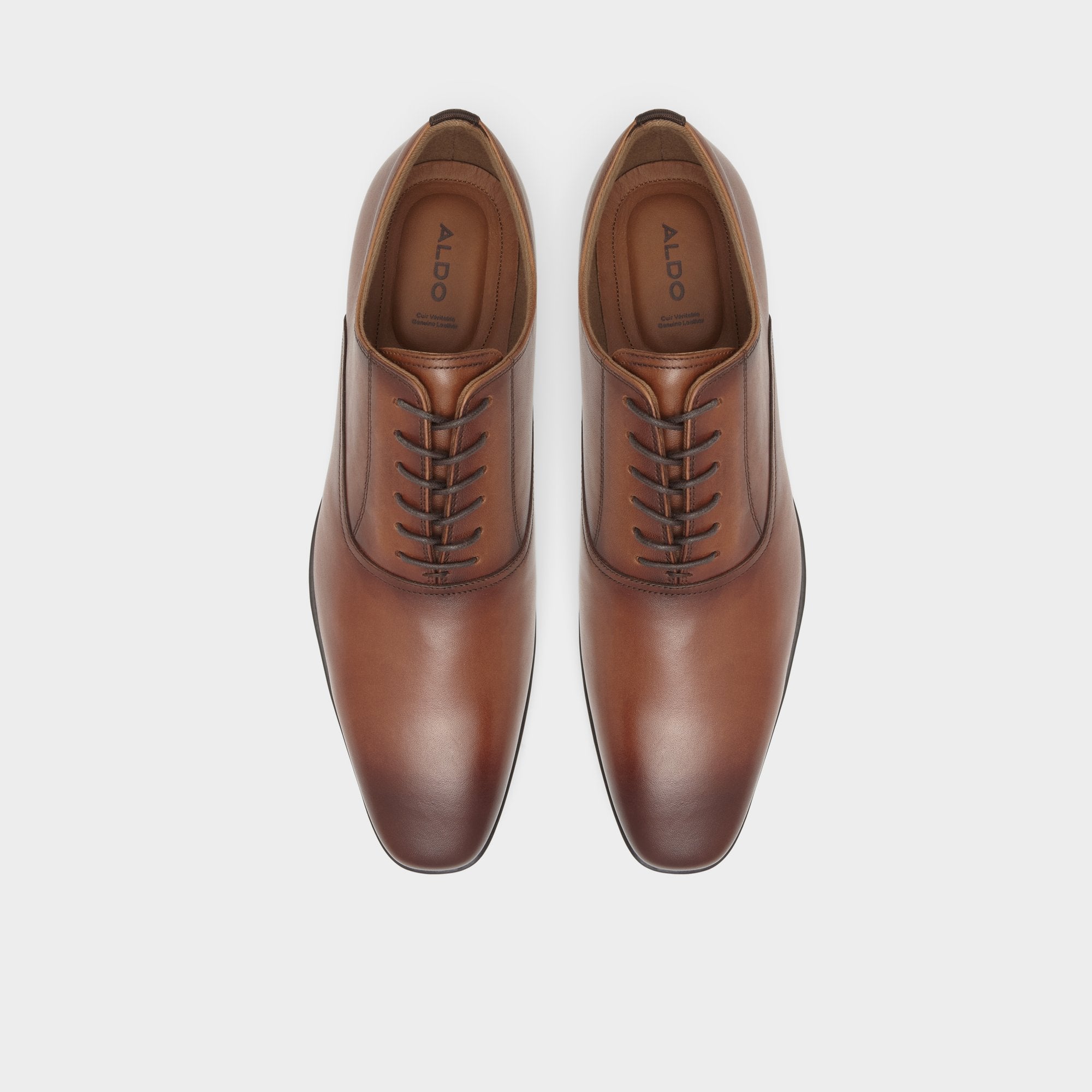 Aldo Nathon in Cognac - Oxford shoe Men