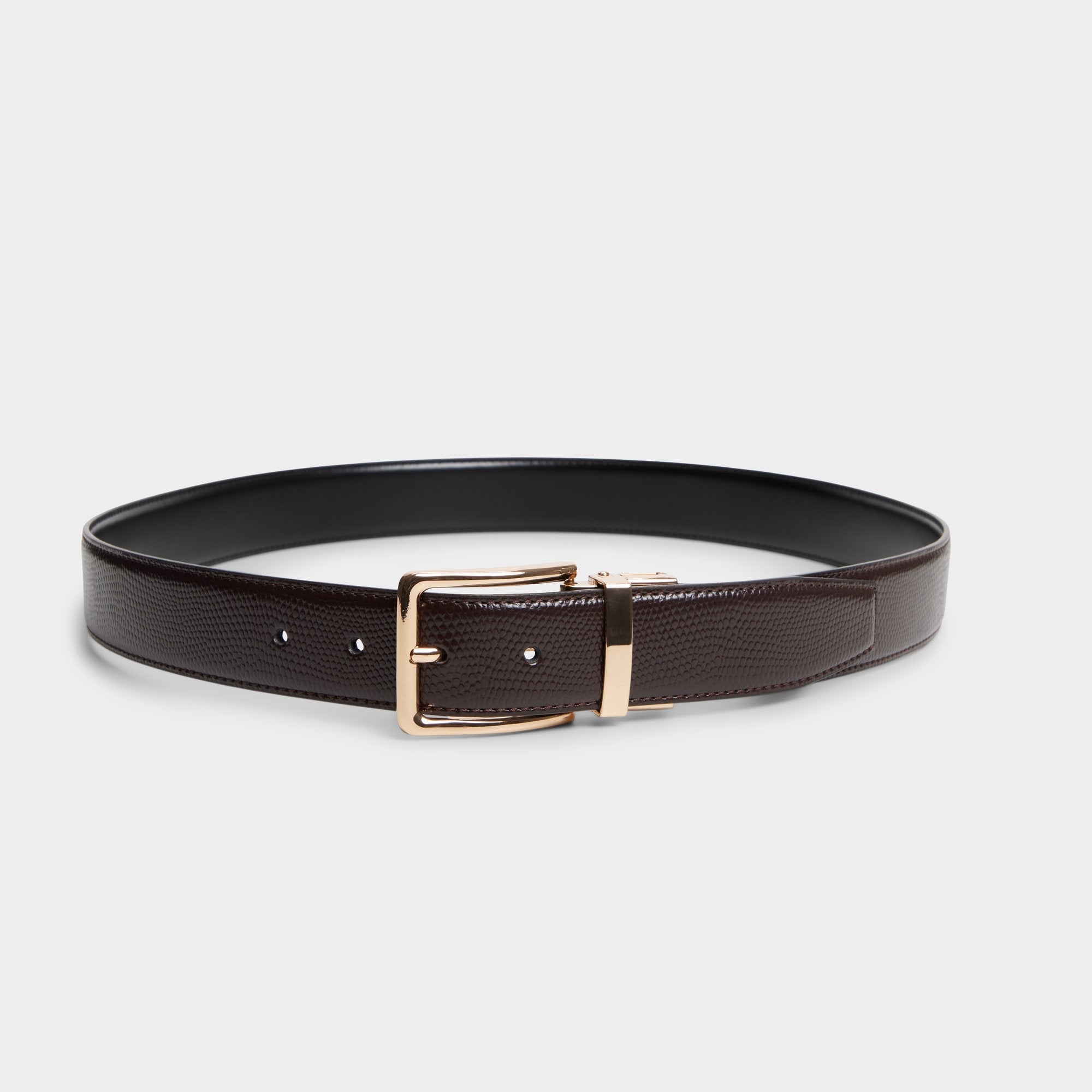 Aldo Nicholas in Dark Brown - Belt Men