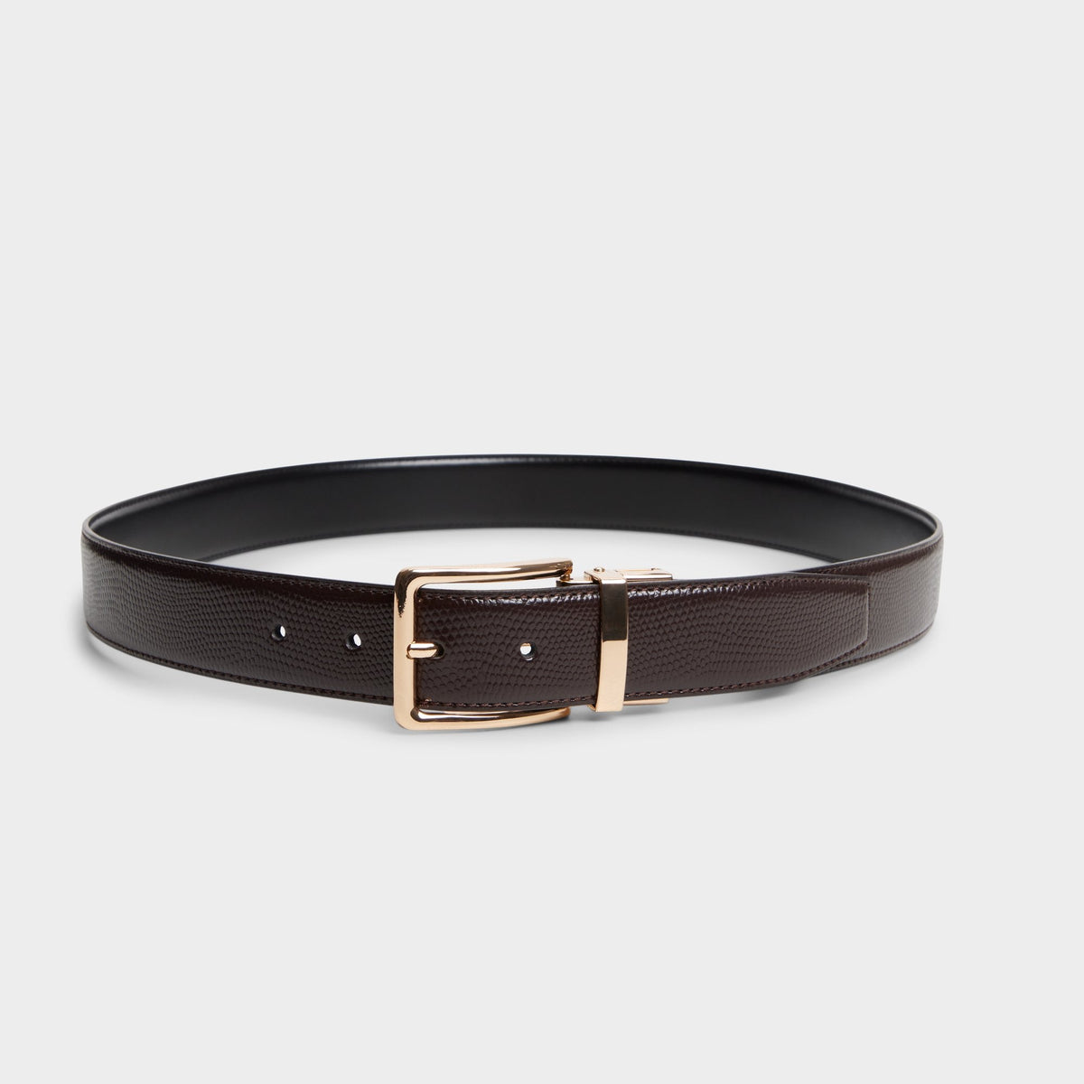 Aldo Nicholas in Dark Brown - Belt Men