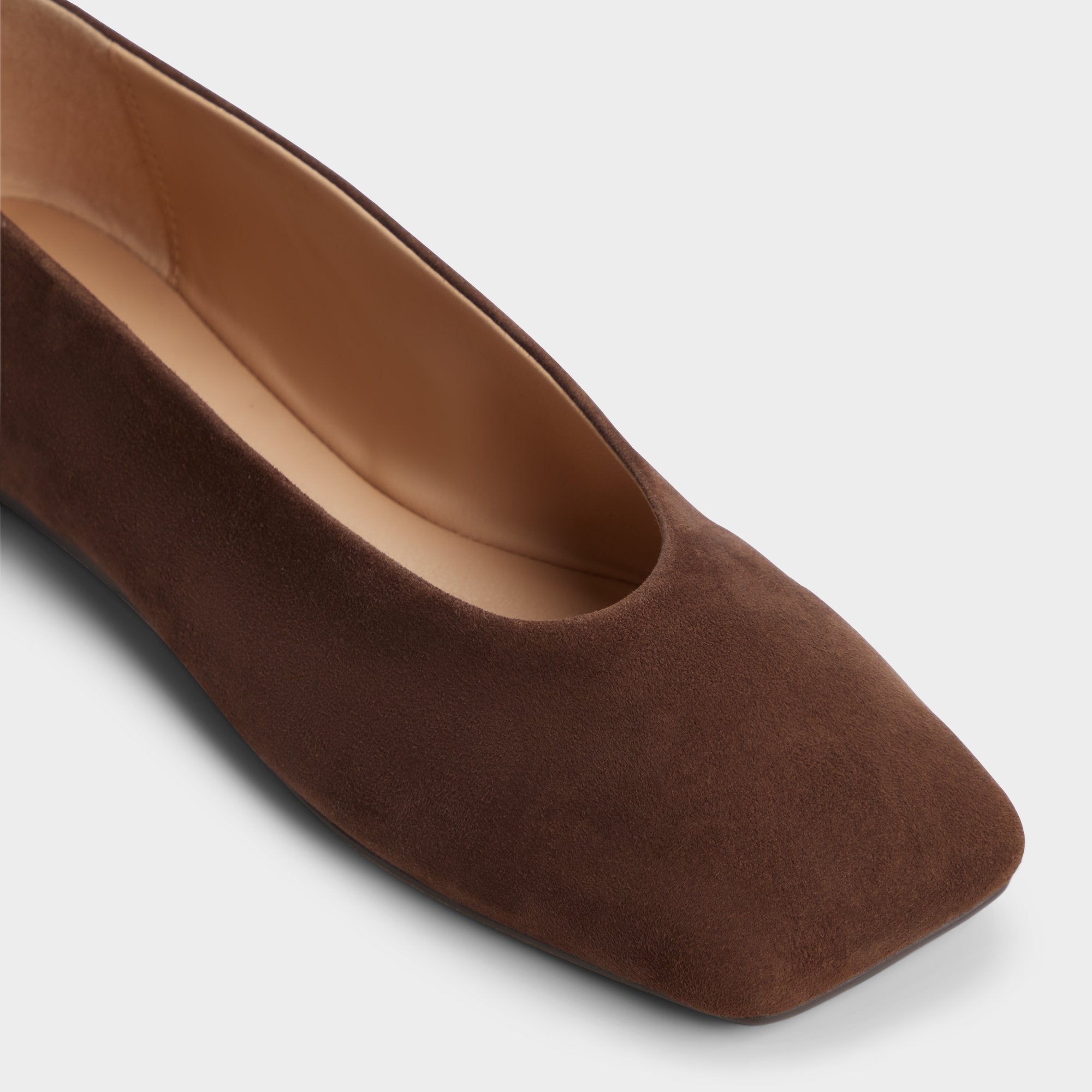Aldo Beralalden in Dark Brown - Ballerina Bags