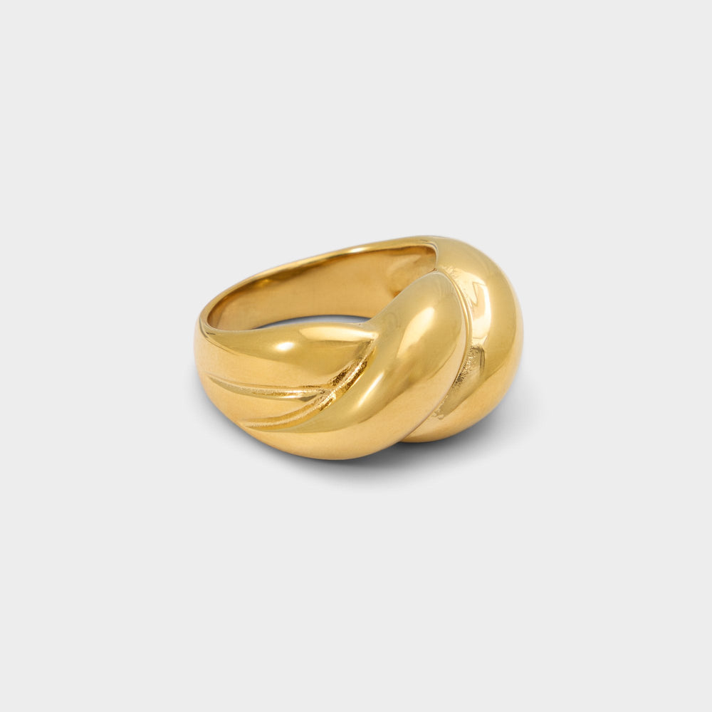 Aldo Twiste in Gold - Ring Women|Accessories
